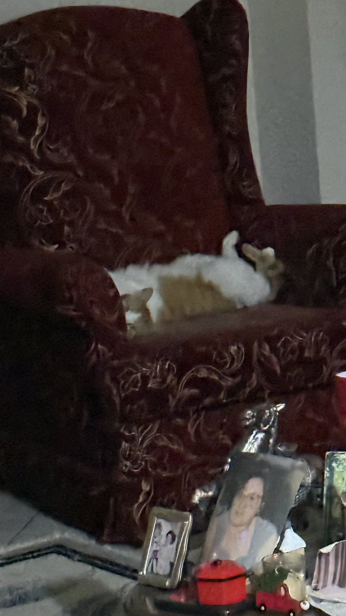 A Paul of Ice and Fire | Game of Thrones Era🐺 tweet media