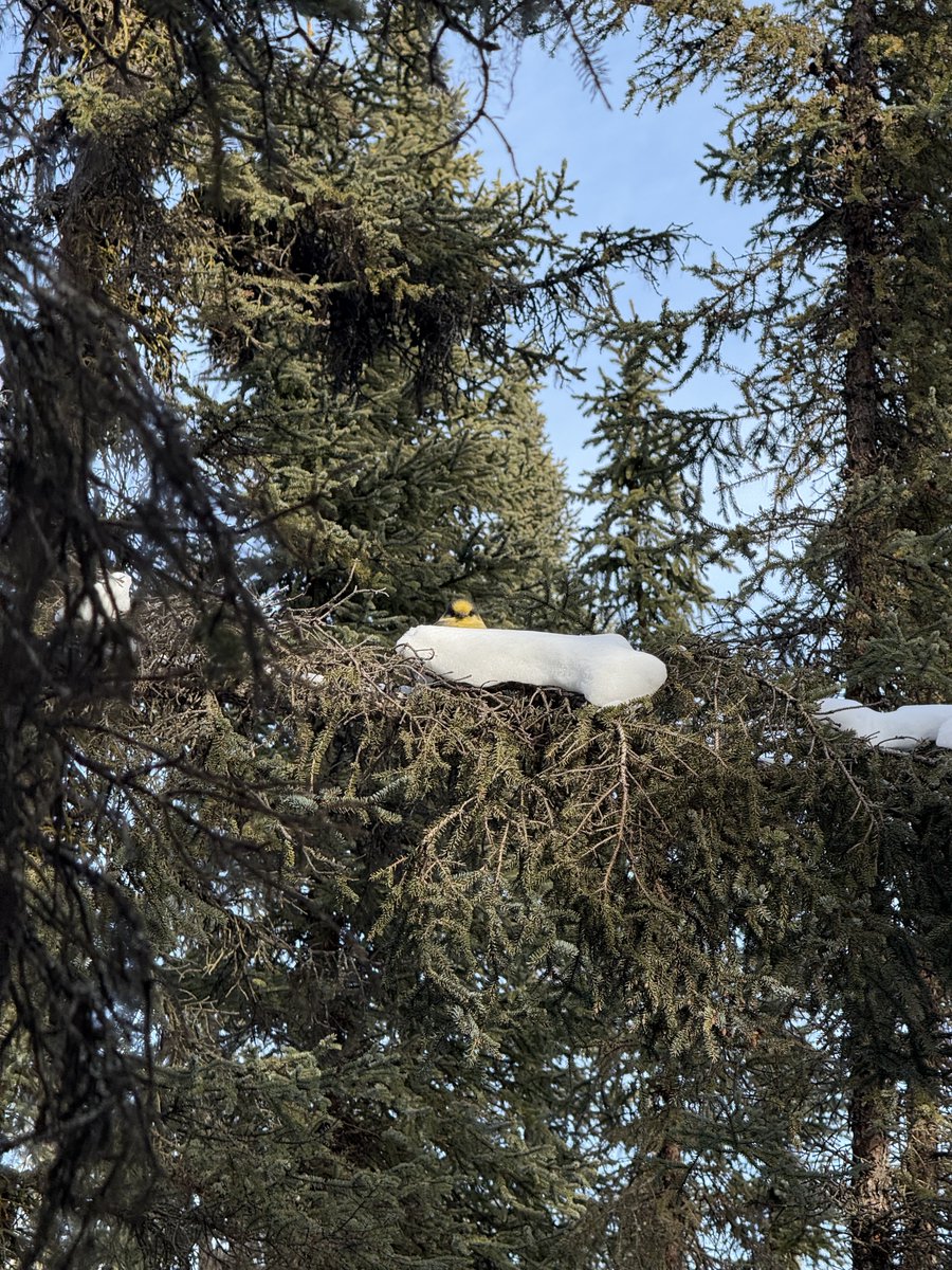 Randy ✝️ tweet media