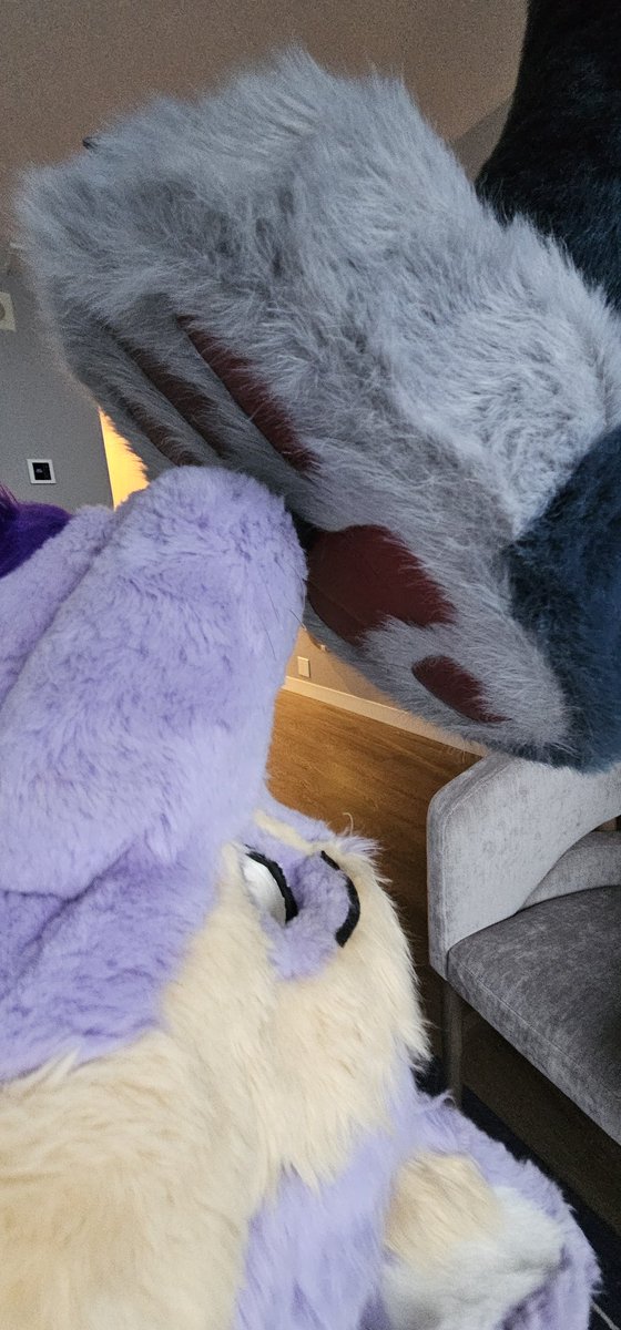 Lavshep 🔜 ??? tweet media