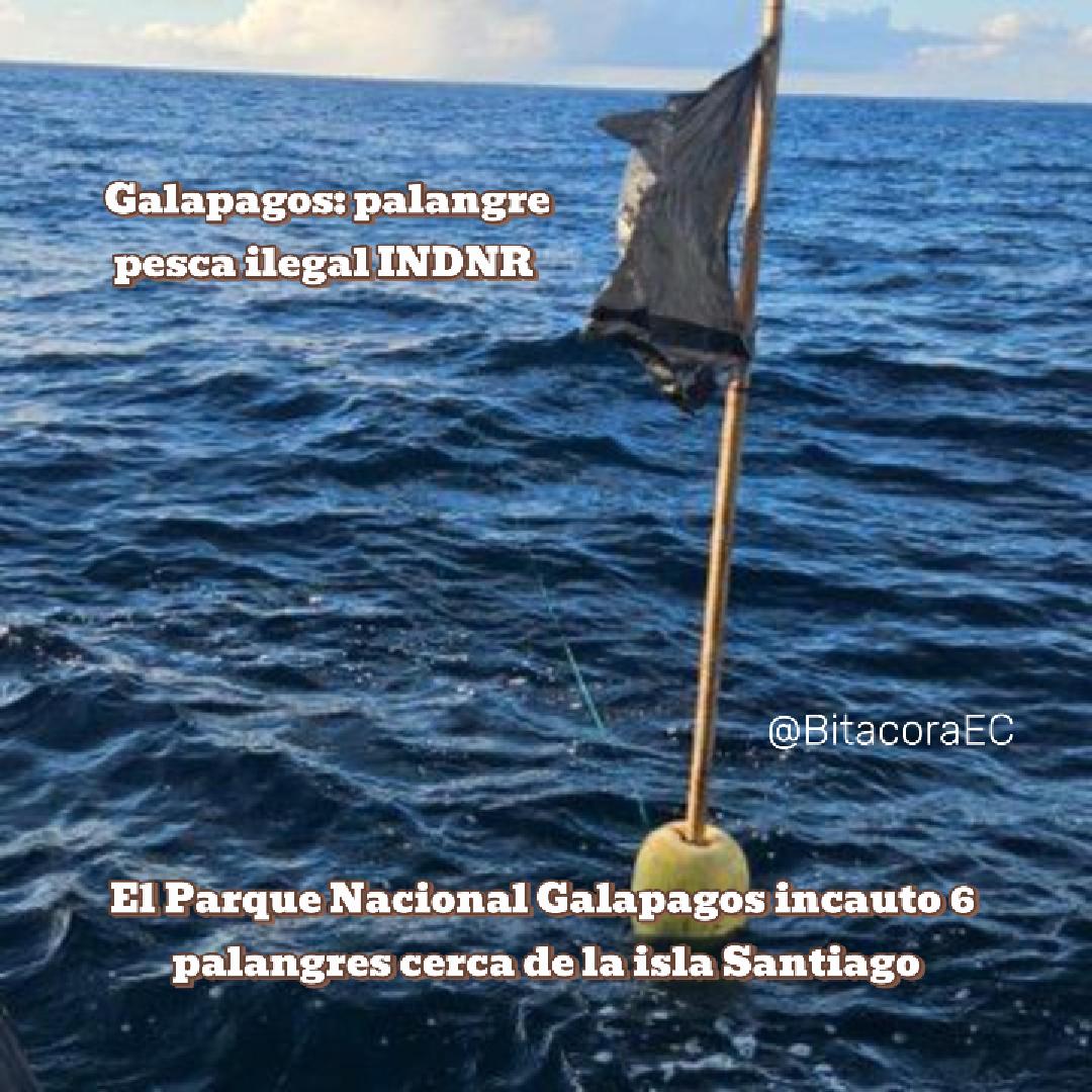 BitacoraAmbiental tweet media