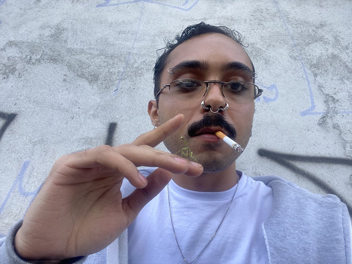 p̶̟͉̭̯̳͒̓̃̈́̚e҉̖͓̬͈̎̉̎d̷͓͎̞͊̇̒͂r̶͚̲̖̔̐͒ȍ̶̠̦̎ tweet media