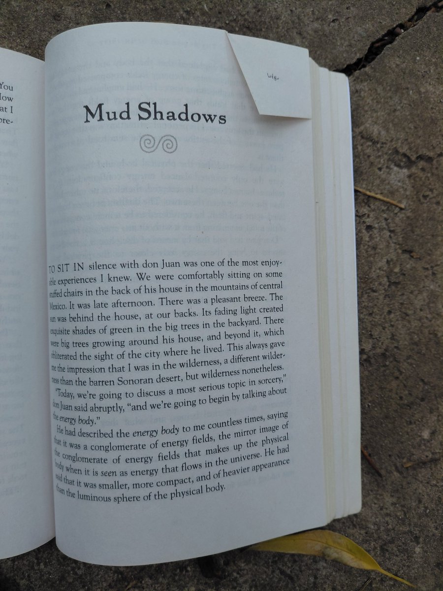 Sasha Generas tweet media