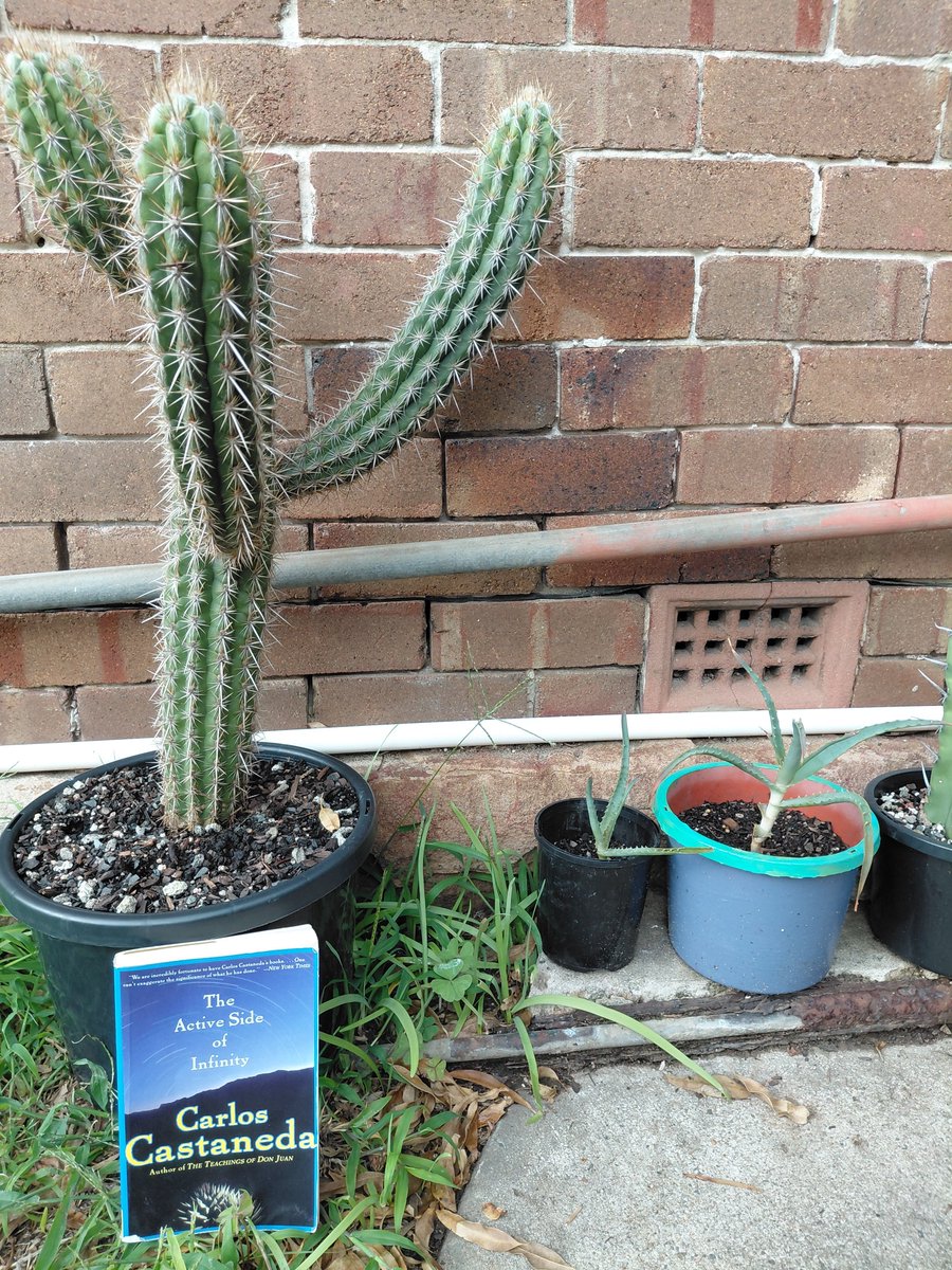 Sasha Generas tweet media