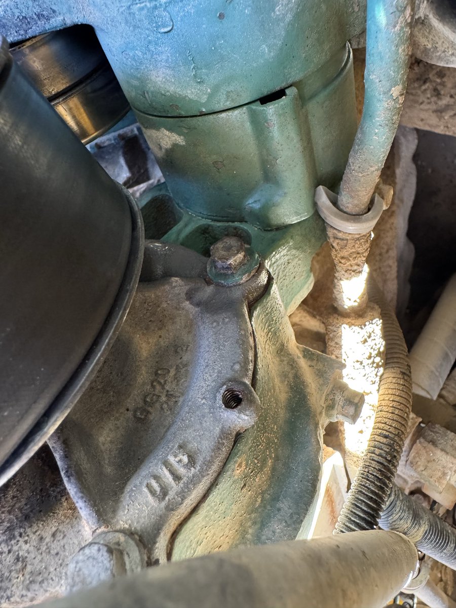 SofaKingMaga! tweet media