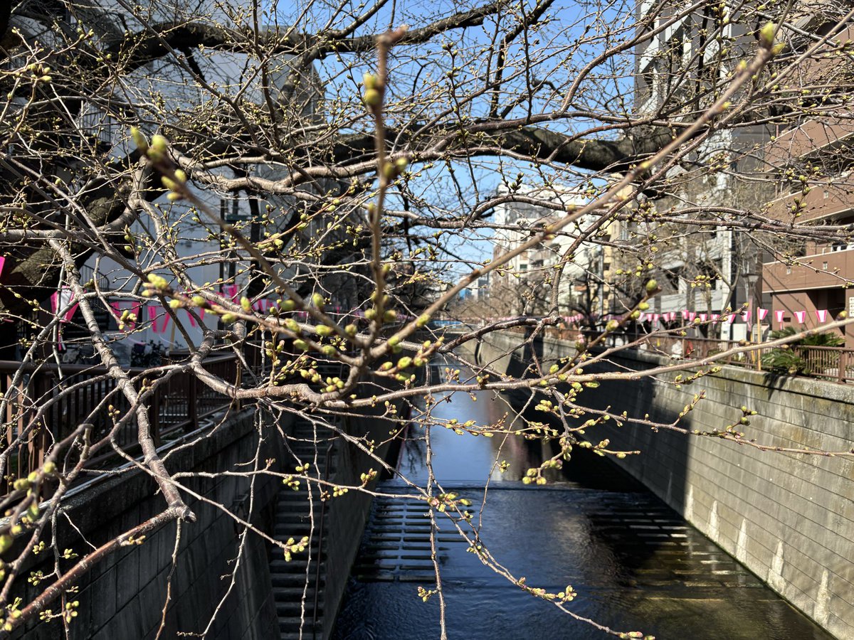 まきのみちのり tweet media