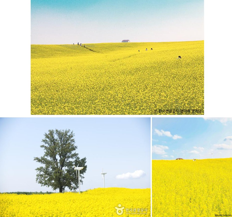 오로라 tweet media