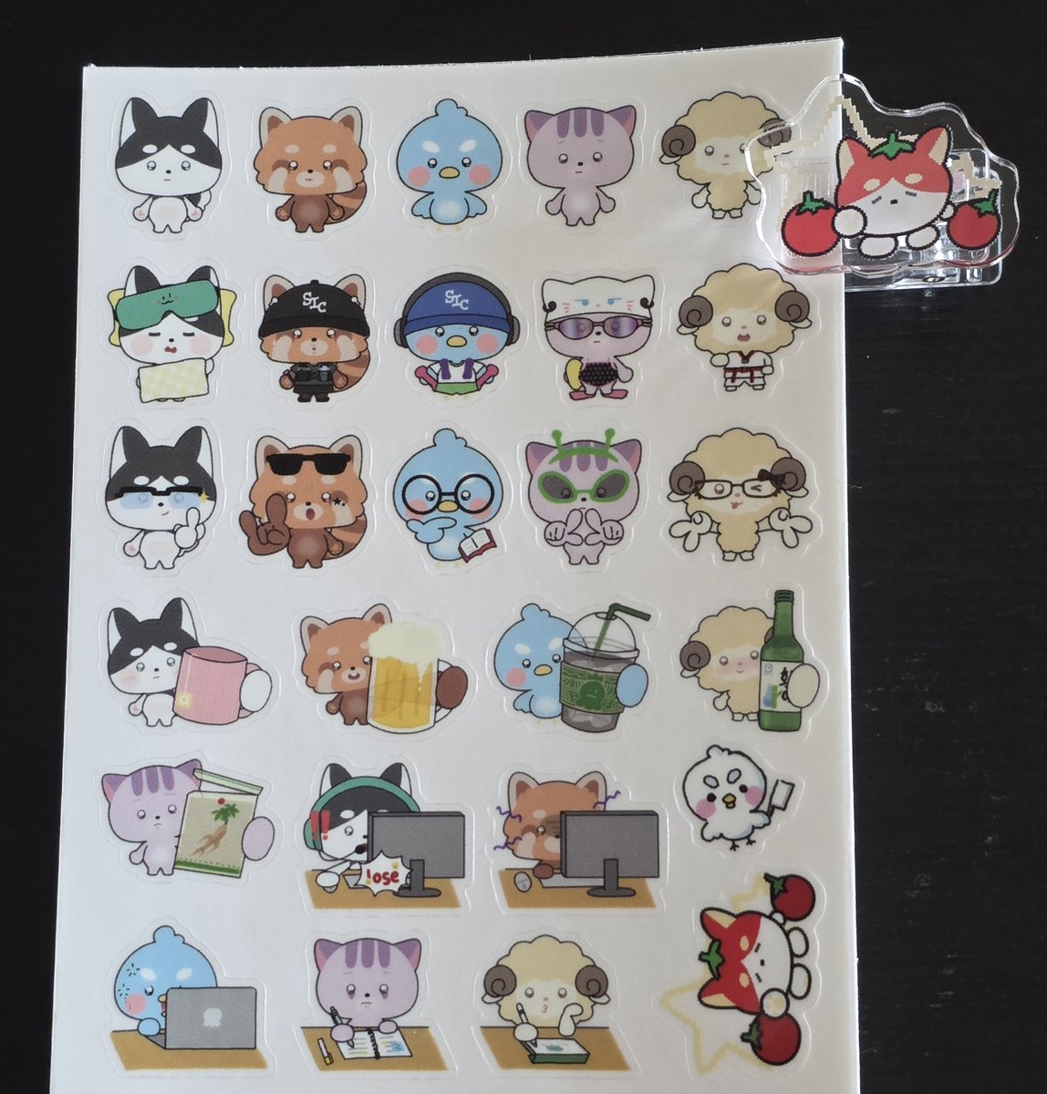 김파스타 tweet media