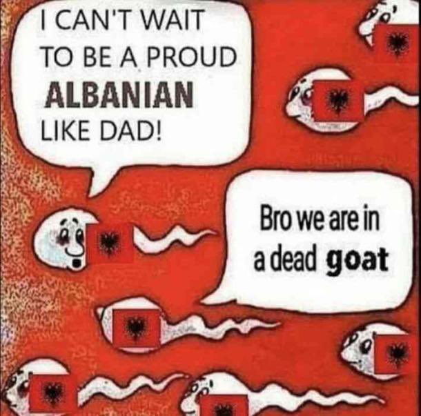 Slava tebi Brože ! tweet media