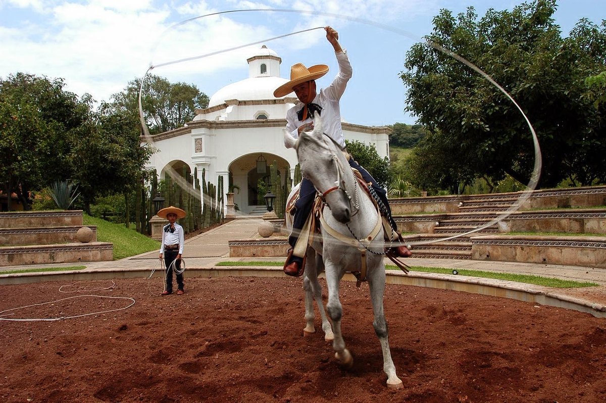 EsMexico Explore 📍🌐 tweet media