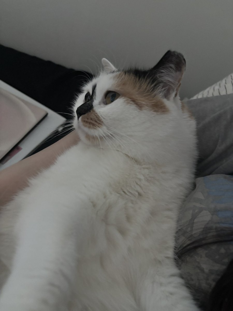 김비비 tweet media