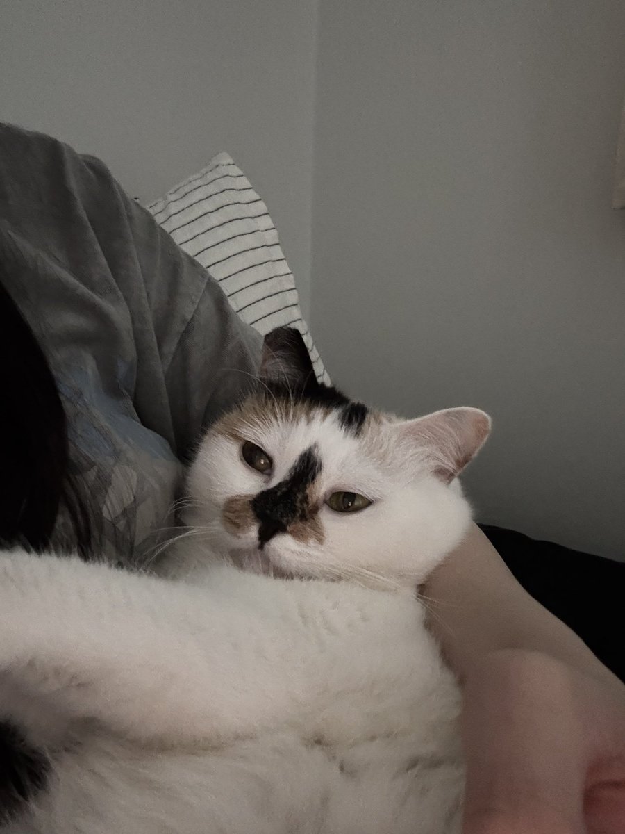 김비비 tweet media