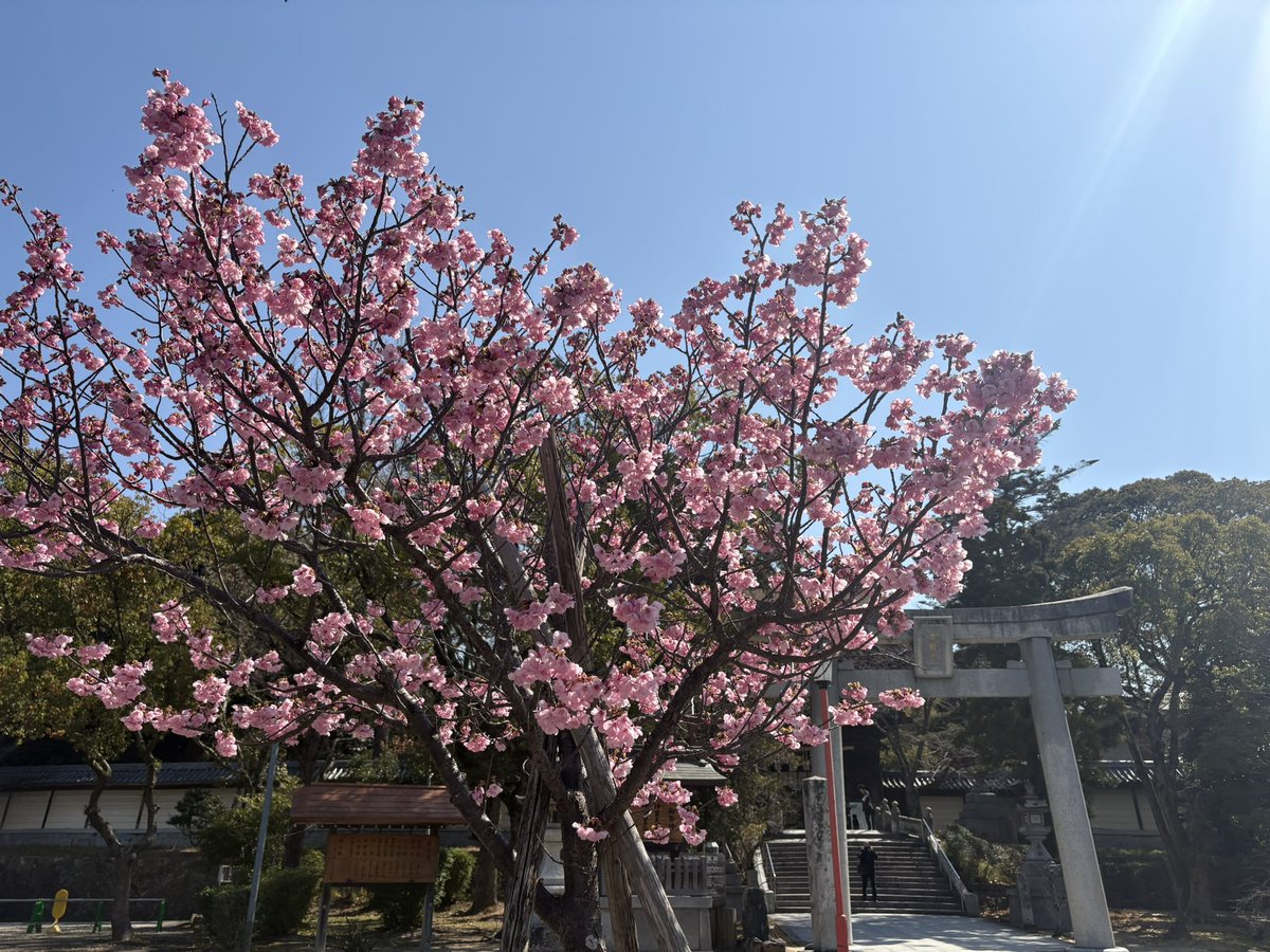 イトジュン tweet media