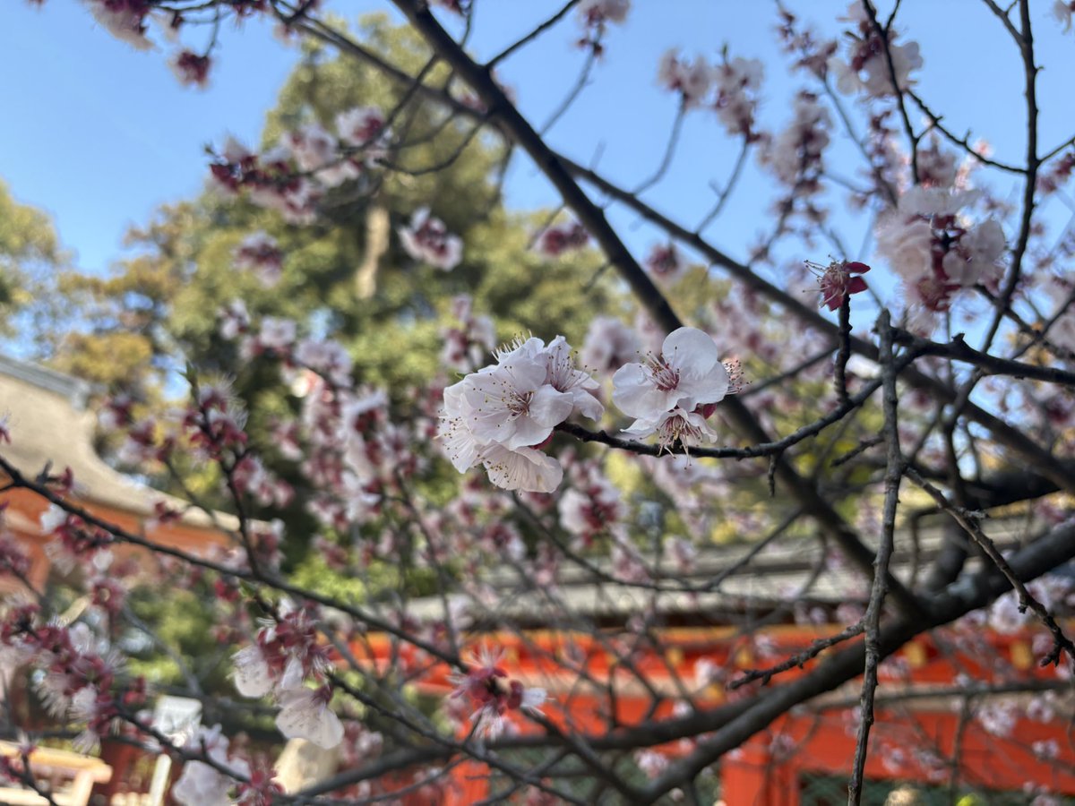 イトジュン tweet media