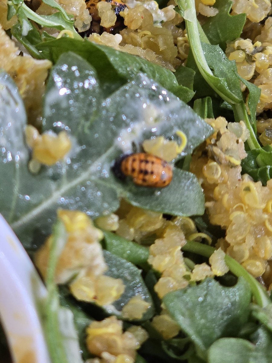 Dr. La Shawn M. Paul, DSW, LCSW-R tweet media