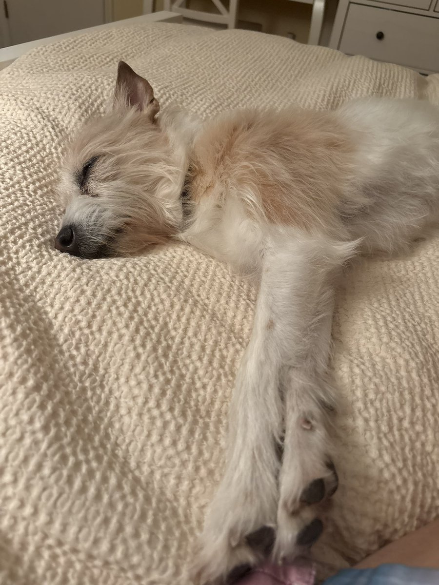 Nan 🐸 tweet media