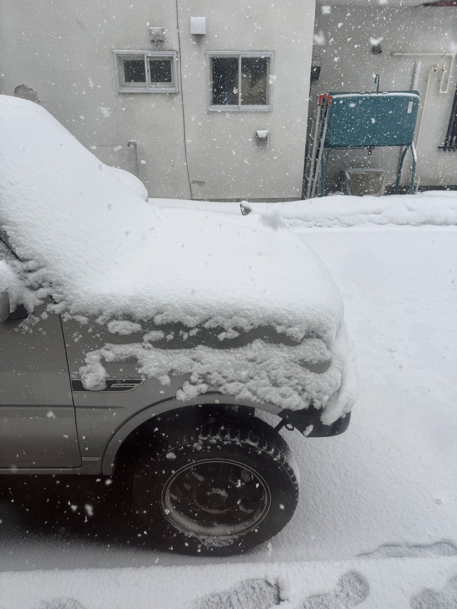 𝙨𝙚𝙘𝙝𝙞...⌯'˟'⌯ tweet media