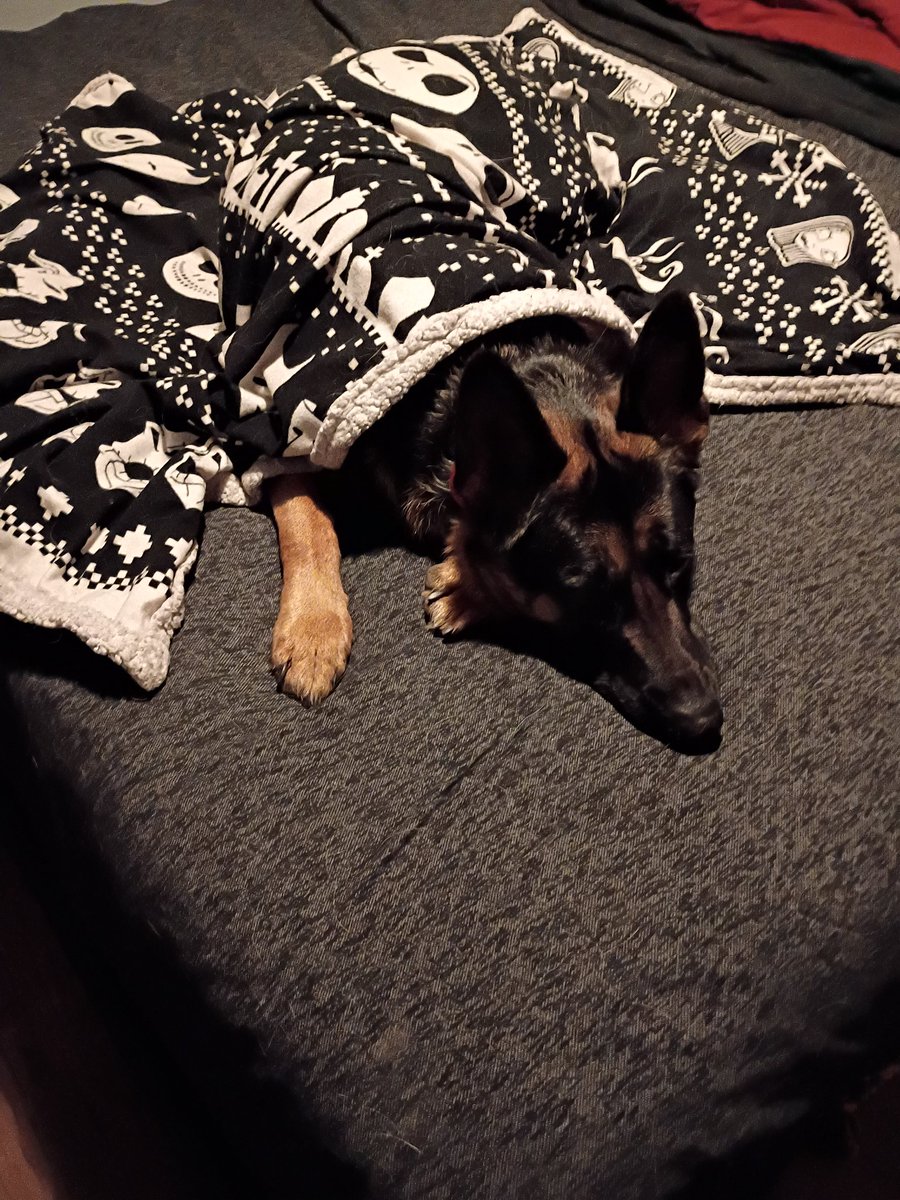 Punk N' Pie tweet media