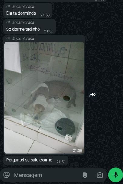 Quero agradecer aqui uma MULHER GIGANTE, mãe, uma mulher que se mobilizou pra resgatar o Caramelo, no Rio de Janeiro. Esse cãozinho estava lá desde o dia 9/03. E hoje ele irá dormir sem dor. A <a href="/isanahi_/">taiana</a> tem lutado por justiça pelo Orelha, Chico, todos! Agradecer a todos que
