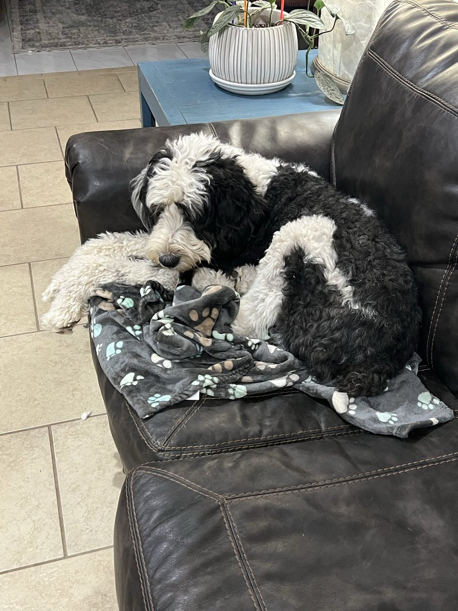 Fishmaster23 tweet media