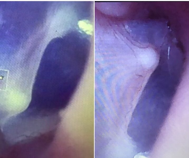 Laura Nihart tweet media