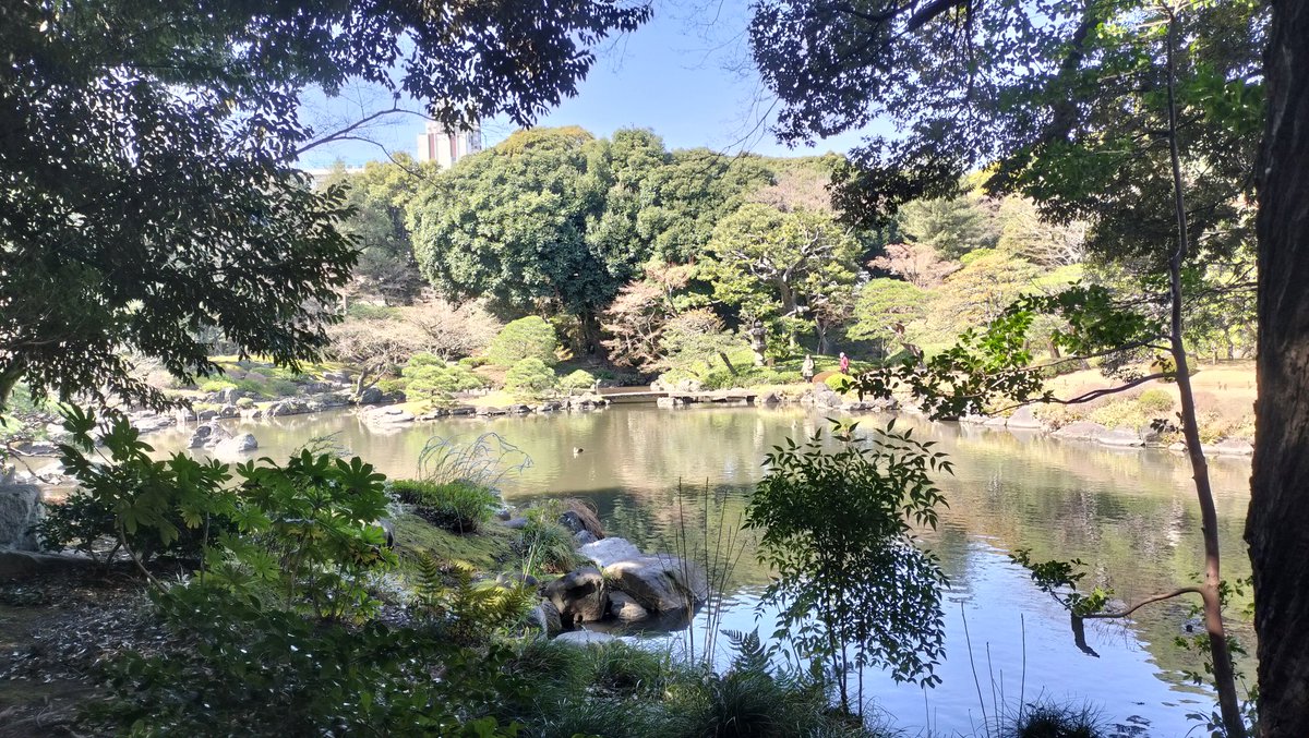 _yaejun_'s tweet photo. やえじゅん散歩　旧古河庭園
まだ花の時期には早かったみたい。 https://t.co/IZQdnkrKsx