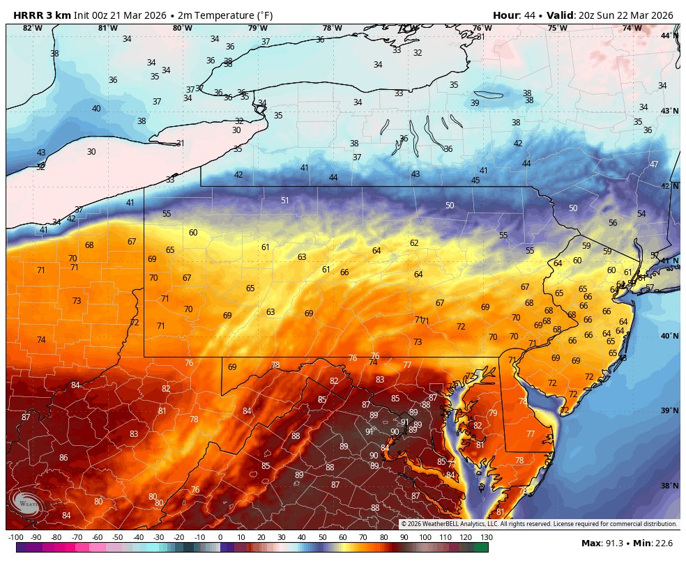 Sebastian Neidlinger tweet media