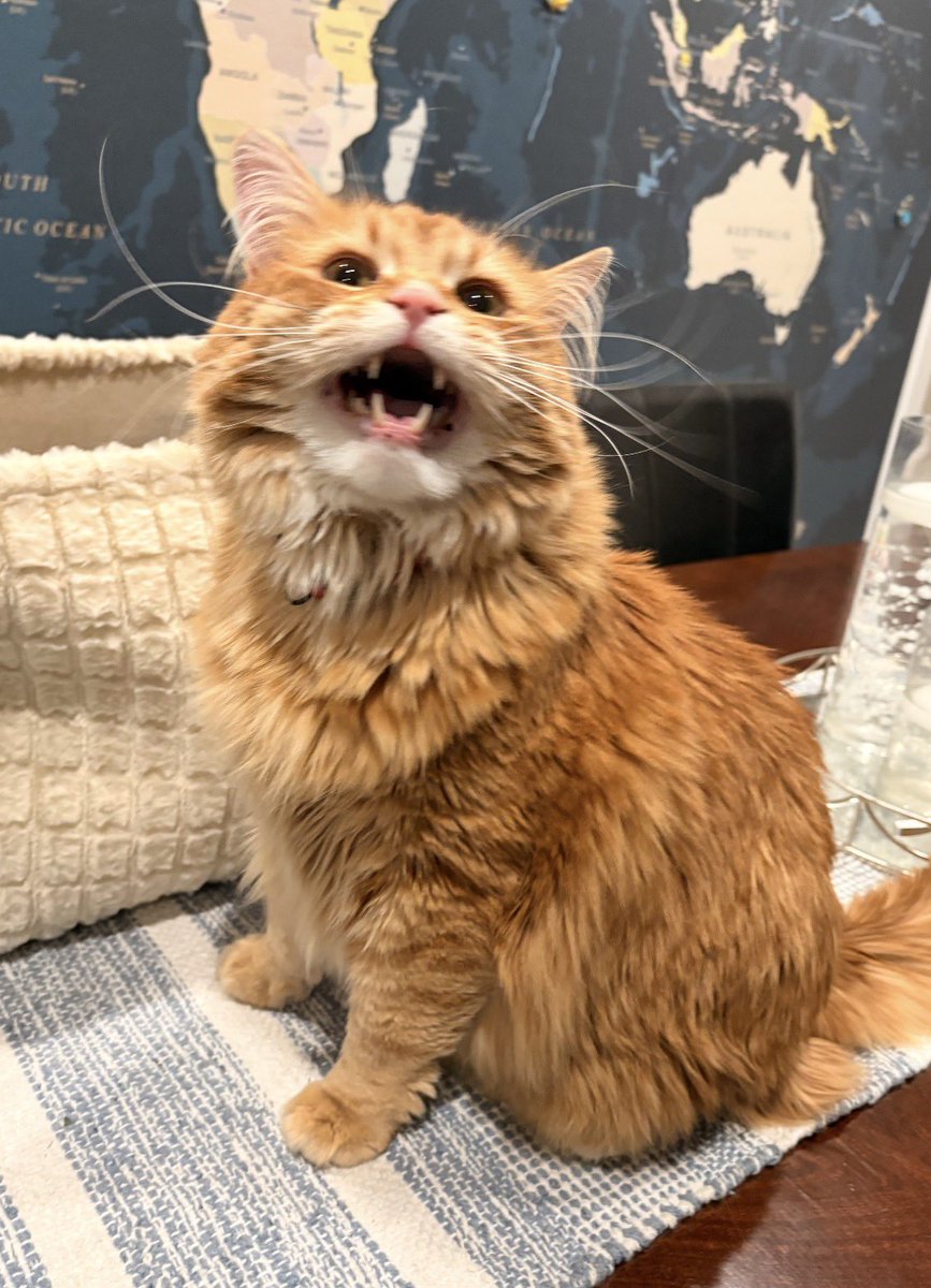 Andrew McCarthy tweet media