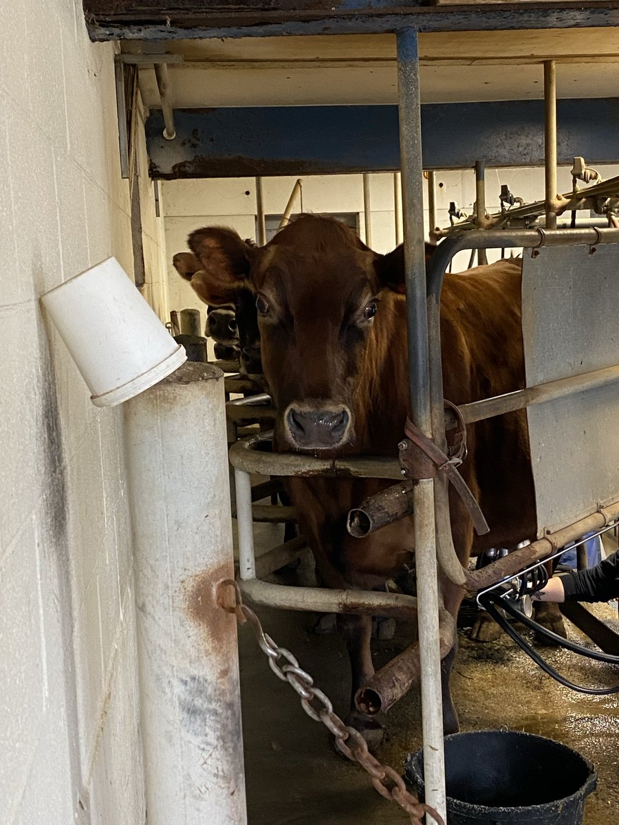 David J Place tweet media