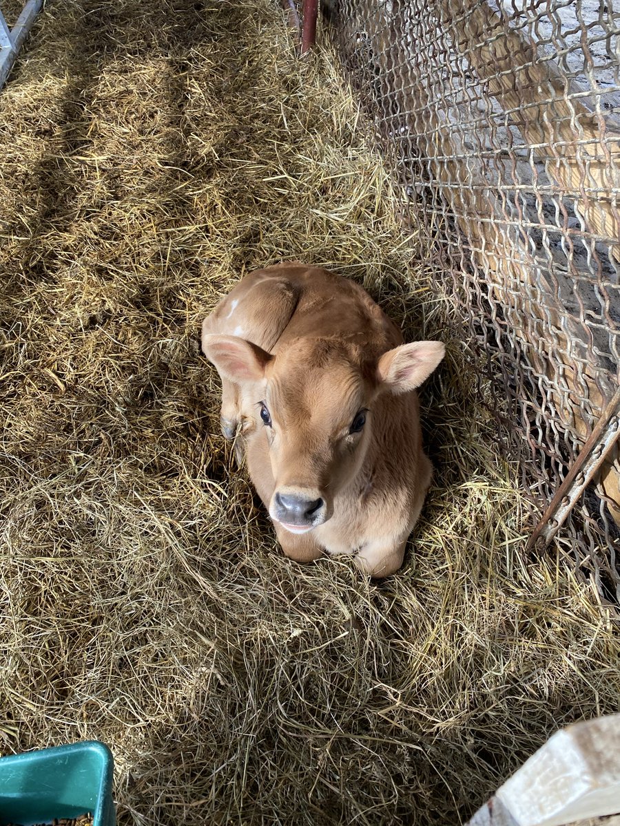 David J Place tweet media