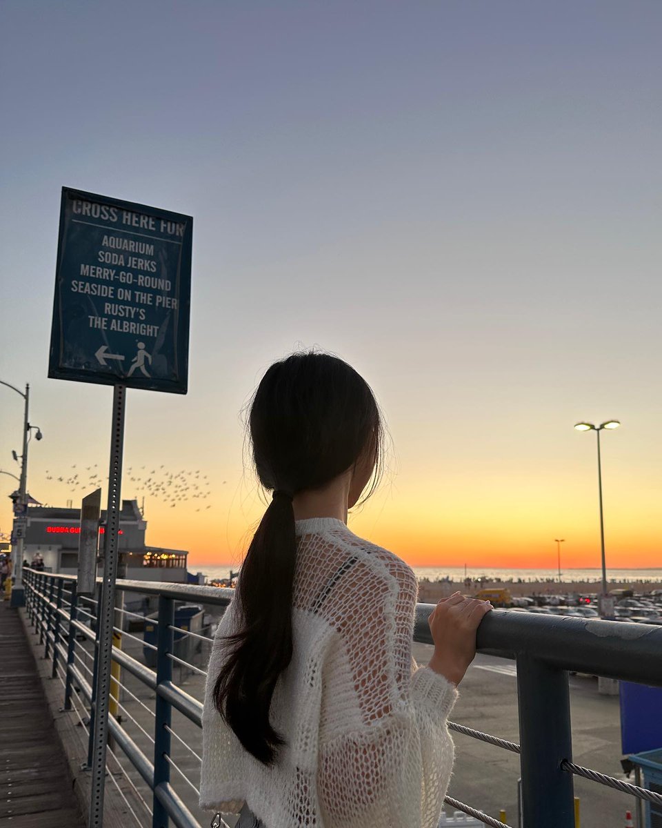 vivi folder tweet media