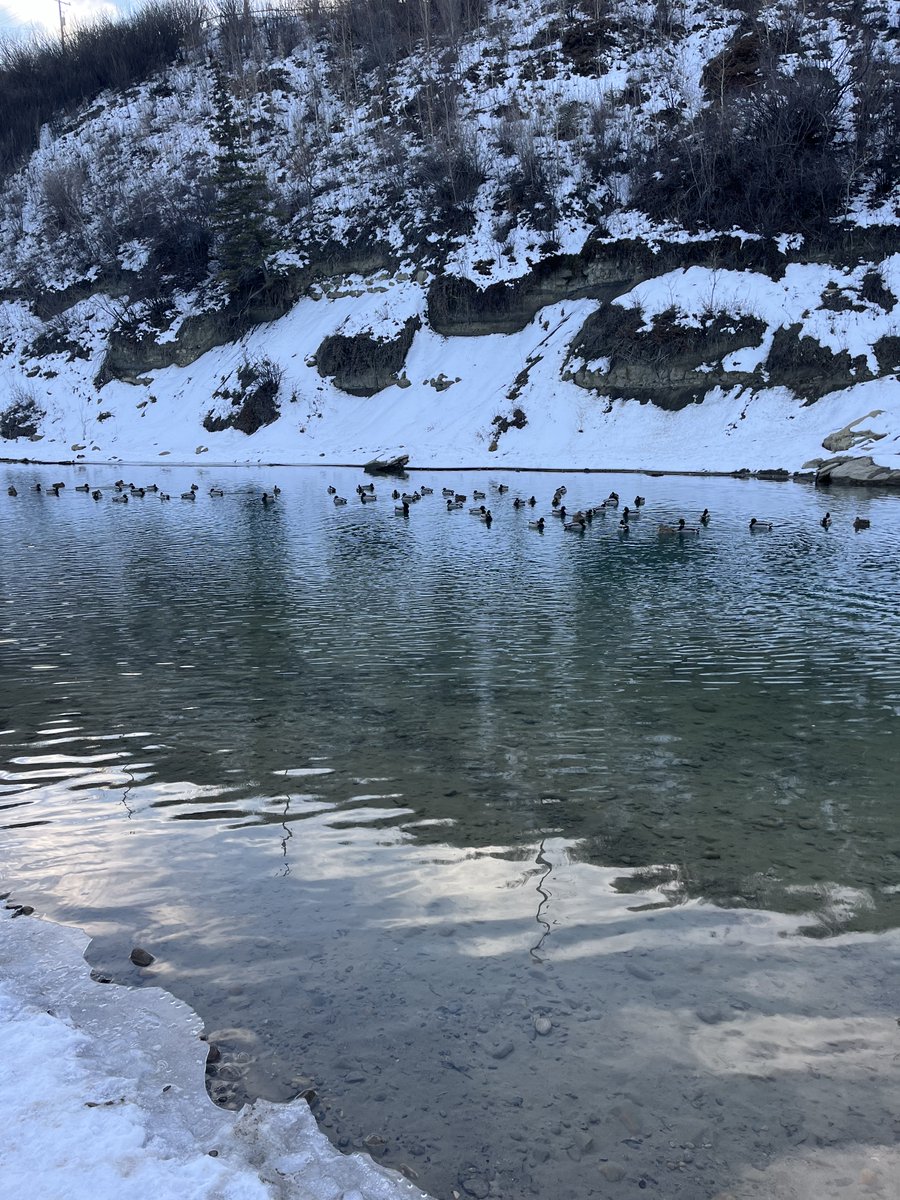 Jacquelinemari tweet media