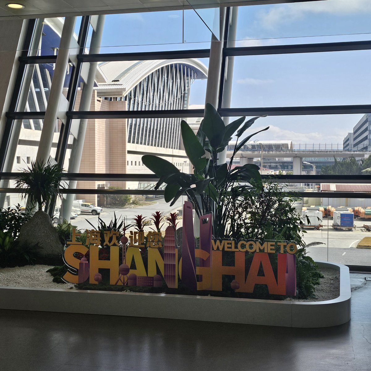 노을빛고양이 tweet media