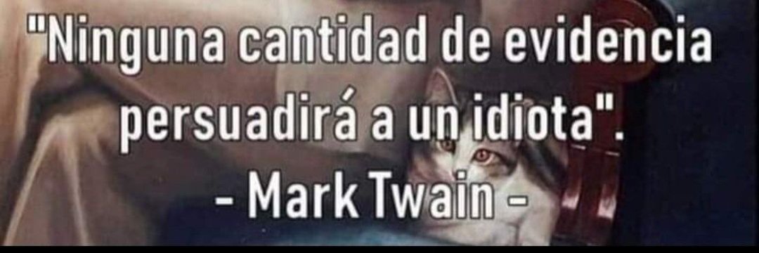 Alberto Raffo Costemalle tweet media