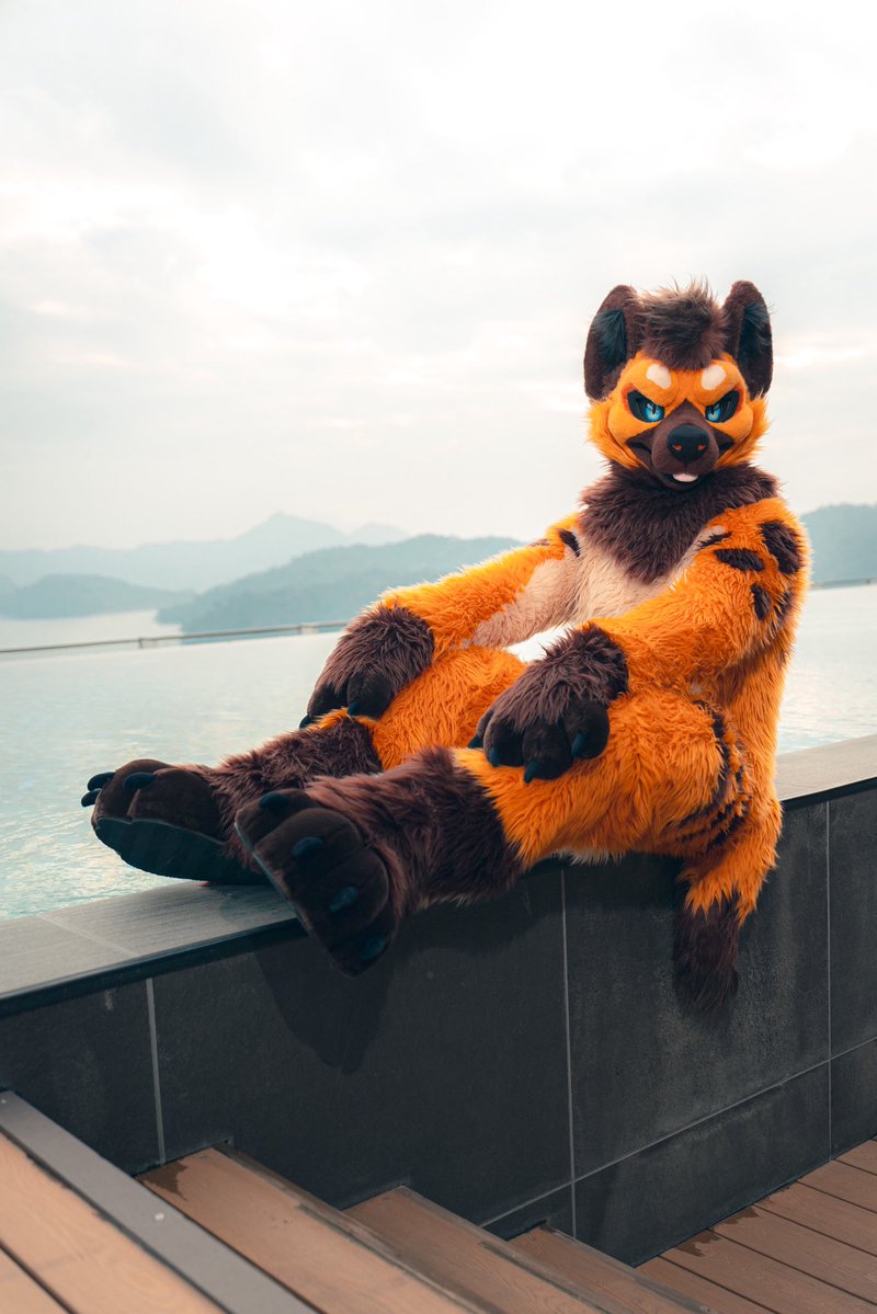 PLANT@TAIWAN tweet media