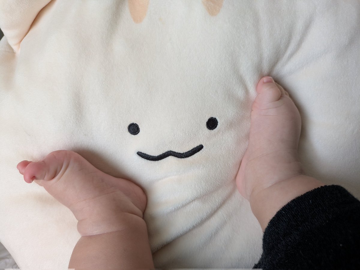 tangled_spoon5's tweet photo. にわねこ虐めをする息子 https://t.co/7twq1YZZPG