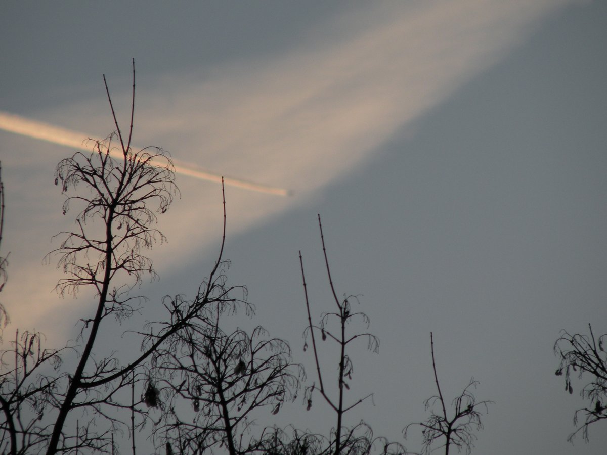 Captain Howdy tweet media