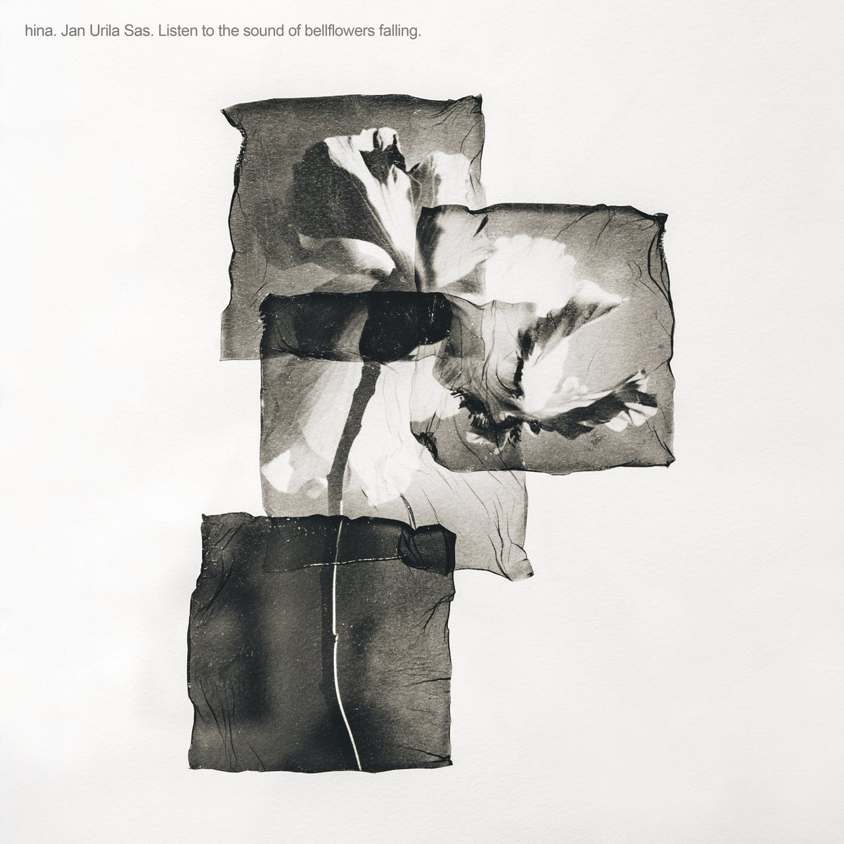 janurilasas tweet media