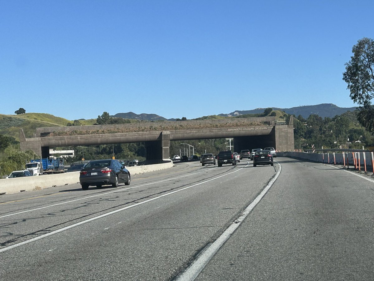 Michael Shermer tweet media