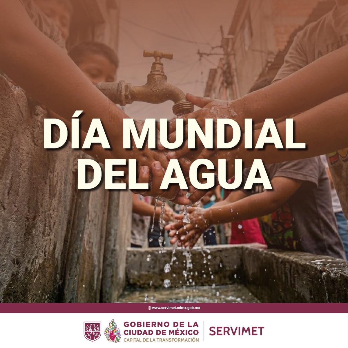 SERVIMET tweet media