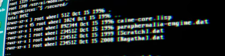 Sandy Rispens tweet media