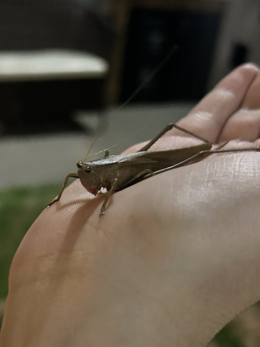 Marck maluco tweet media