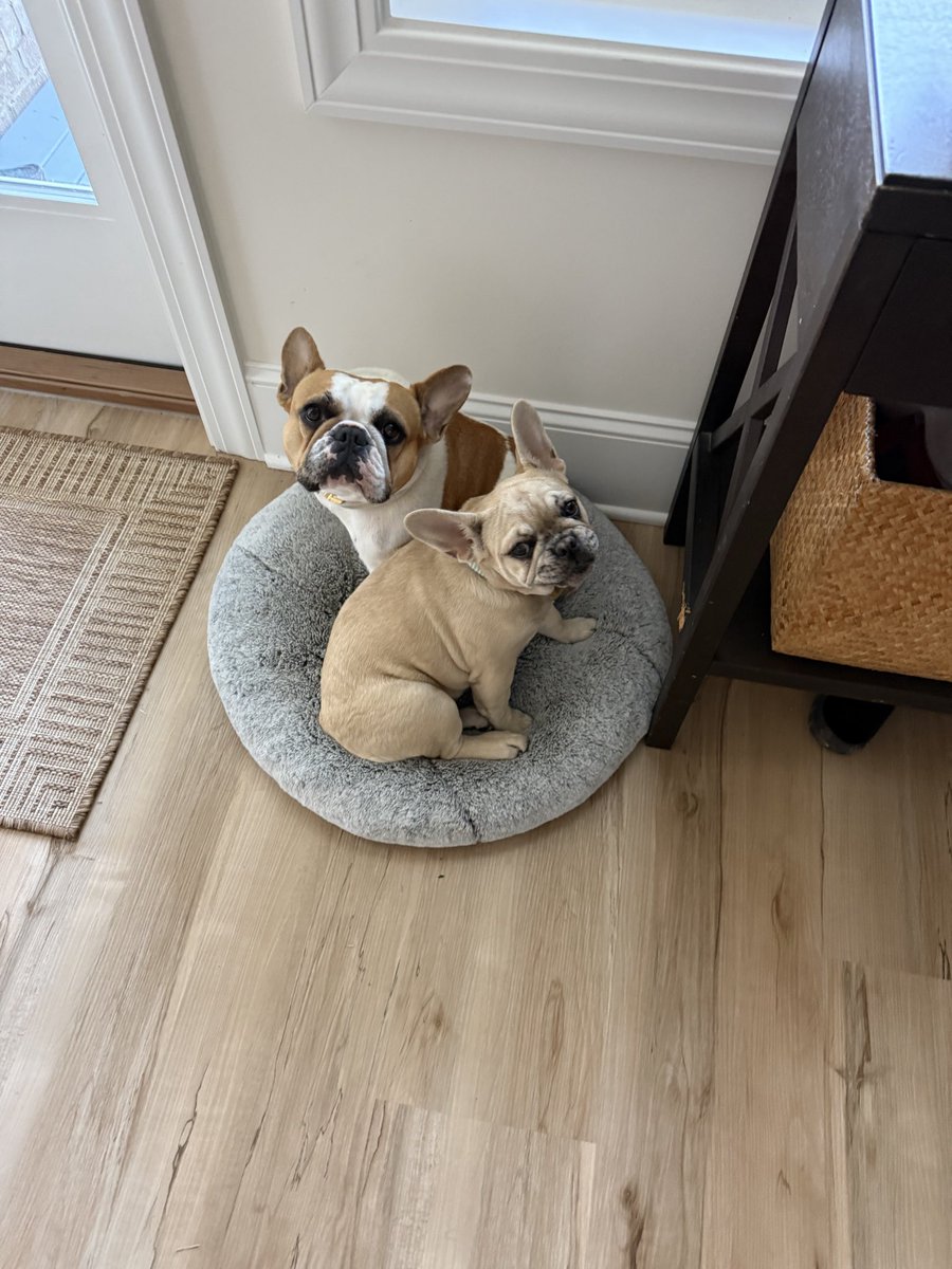 Jeffatron tweet media