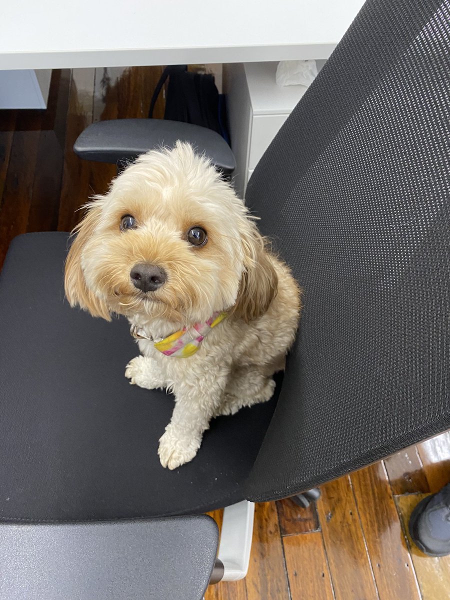 InvertMouse tweet media