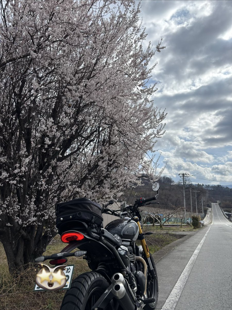boso0329's tweet photo. 昨日は久しぶりに山梨へ。落石で通行止めになってたR140が冬に開通したから走りたかったのもある。落石の当日、三峯神社に行こうと朝から走ってて、通行止めになってたのが懐かしい。楽しい道だったけど、雨に降られて凹んだ。 https://t.co/Mn7em0LJT7