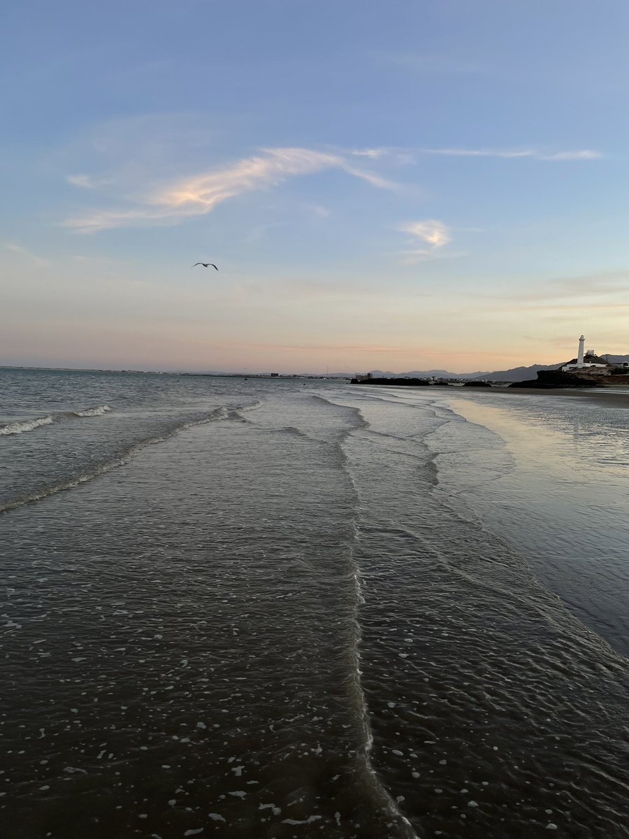 𝐈𝐭’𝐬 𝐬𝐮𝐧 tweet media