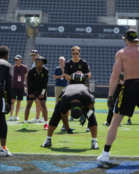 Sloth Knows Ball tweet media