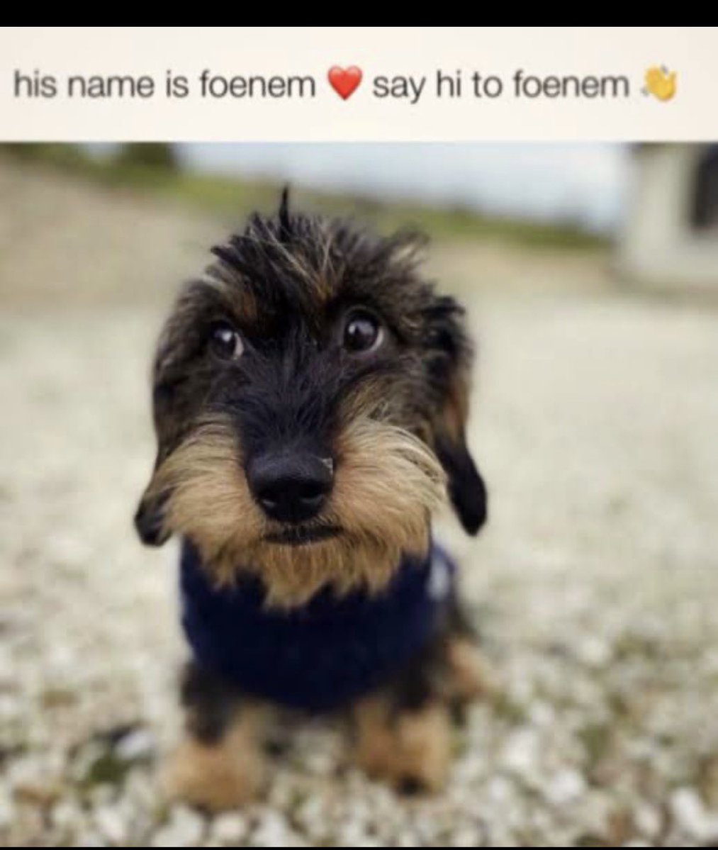 Wuhan Bat tweet media