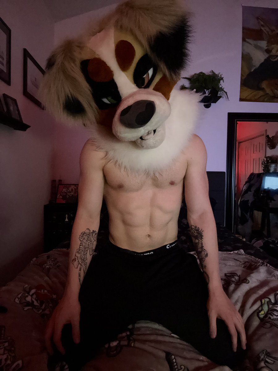 Koda’s EVIL Account 🔞 tweet media