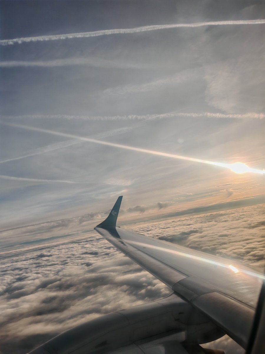 喵瞳依 tweet media