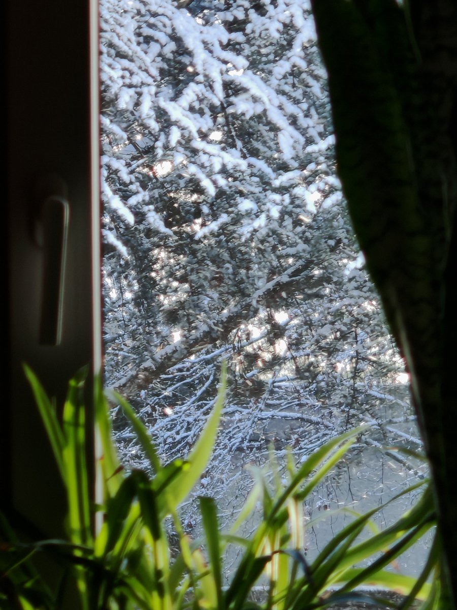 喵瞳依 tweet media